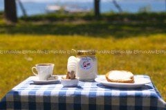 Sakız Reçeli 450gr