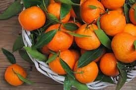 Bodrum Mandalini ( KİNİN )