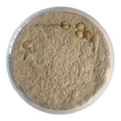 FINDIKLI TAHİN HELVASI 500 GR